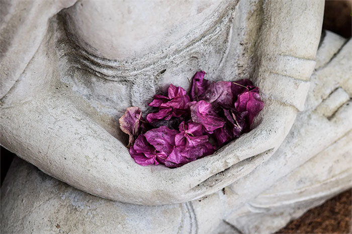 Buddha With Flowers